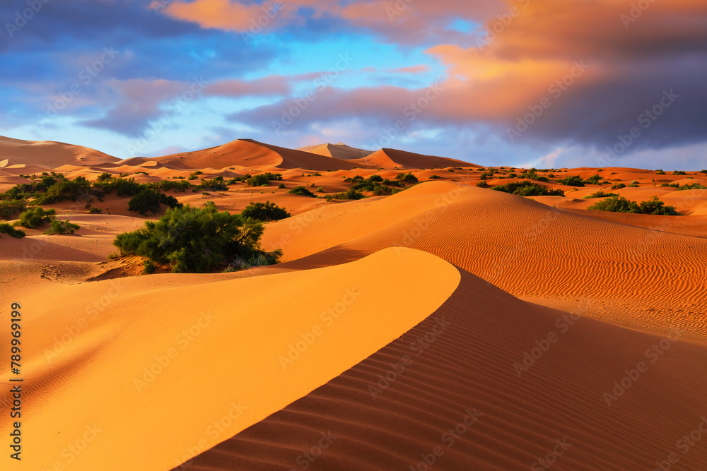 The Sahara Desert, Morocco. Sand dunes landscape of the Erg Chebbi, Merzouga.