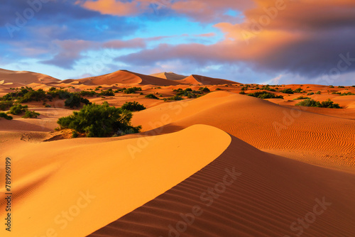 Obraz na płótnie The Sahara Desert, Morocco. Sand dunes landscape of the Erg Chebbi, Merzouga. w salonie