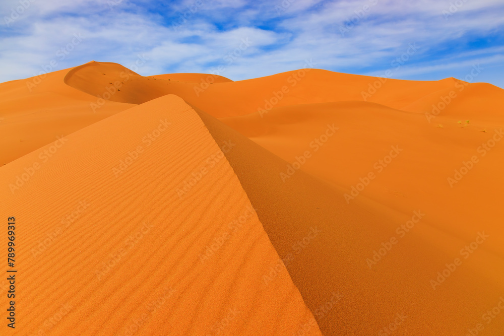 The Sahara Desert, Morocco. Sand dunes landscape of the Erg Chebbi, Merzouga.