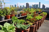 Rooftop Urban Vegetable Garden: Soil Quality Testing for Healthy Plant Growth