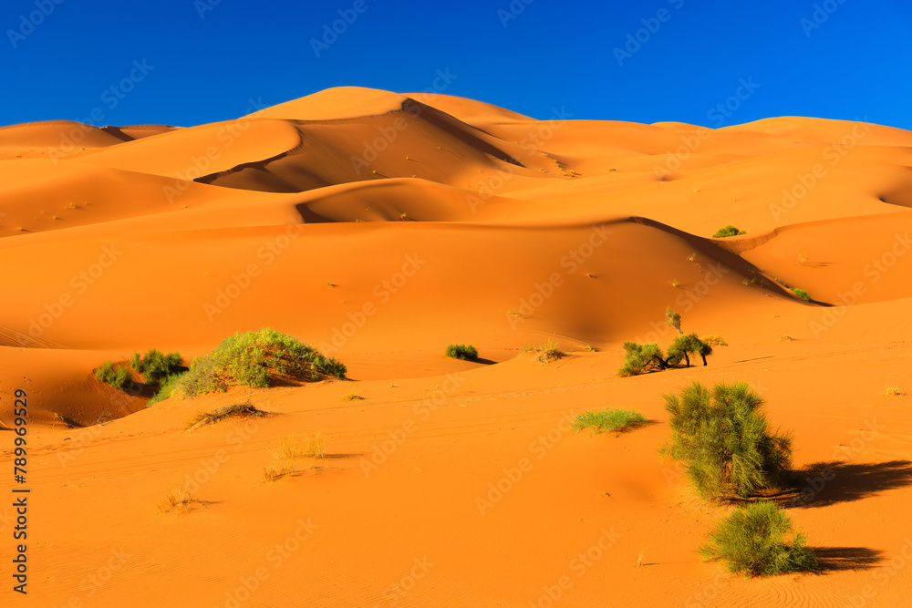 The Sahara Desert, Morocco. Sand dunes landscape of the Erg Chebbi, Merzouga.