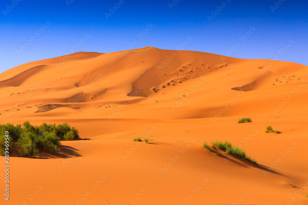 The Sahara Desert, Morocco. Sand dunes landscape of the Erg Chebbi, Merzouga.