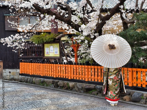 祇園の桜と花嫁