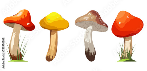 Wild mushrooms. Collection of raw forest edible and poisonous mushrooms. Assortment of poster and banner designs for gourmets, diets, cooking. Bright vector isolated icons.