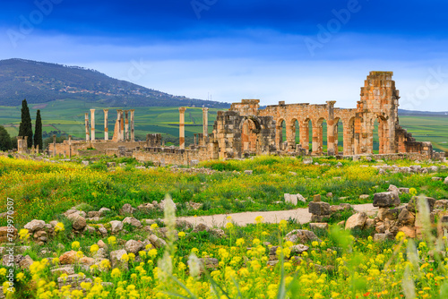 Volubilis, Morocco. Basilica and Capitoline Temple. photo