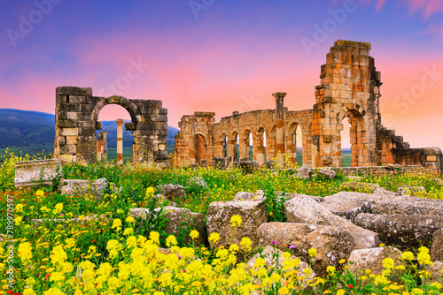 Volubilis, Morocco. Basilica and Capitoline Temple.