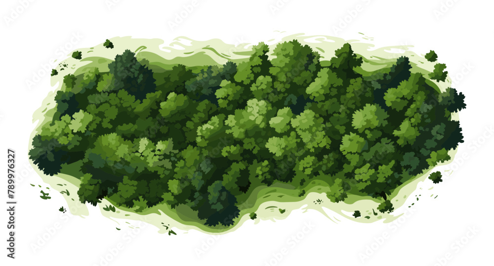 Top view aerial shot of forest isolated vector style on isolated background illustration Top view aerial shot of forest isolated vector style on isolated background illustration
