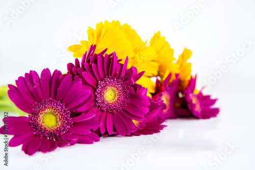 Cropped detail of Bouquet of purple and yellow gerberas laying and  isolated on white background. Simple design concept for banner  card  poster  ads. Close-up. Copy space. Selective focus.