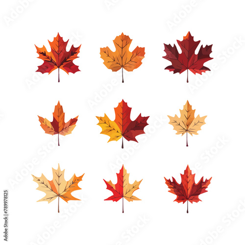 autumn leaves. Fall leafs render autumnal seasons september forest flora, fallen maple natural leaf from tree, welcome canada symbol creative isolated exact vector illustration
