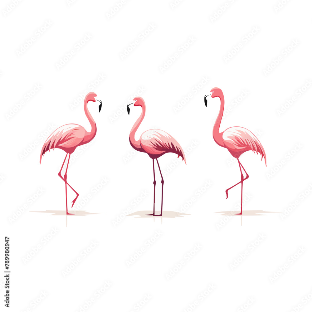 Fototapeta premium Flamingo | Minimalist and Simple set of 3 Line White background - Vector illustration