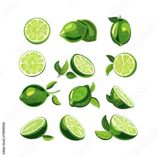Fresh lime fruit. Collection of lime vector icons isolated on white background. Vector illustration for design and print