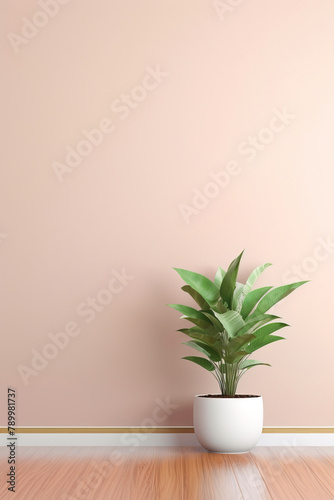 plant in a pot with wall in the background.