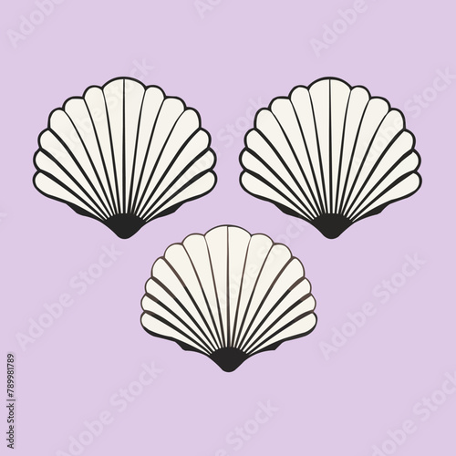 Seashell | Minimalist and Simple set of 3 Line White background - Vector illustration