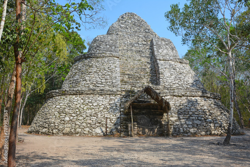 Koba, Meksyk, Jukatan, Ruiny piramid tajemniczej kultury Majów odkryte w dżungli © Tomasz Aurora
