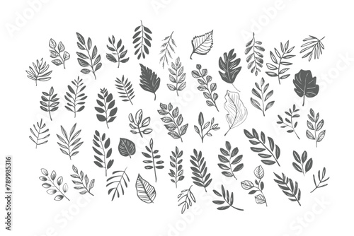 Flower doodle hand drawn line stroke. Sketch hand drawn spring floral plant, nature graphic leaf, scribble grunge brush texture. Vector simple flower, vector illatration. photo