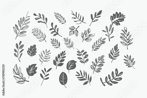 black branch leaf element set. Hand drawn sketch doodle black leaves floral element set for wedding background, elegant design. Minimal style Vector illustration on white background, photo