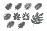 Free vector Palm leaf hand drawn crayon brush illustration on white background.