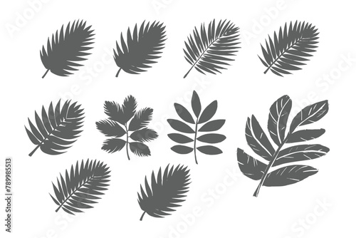 Free vector Palm leaf hand drawn crayon brush illustration on white background. photo