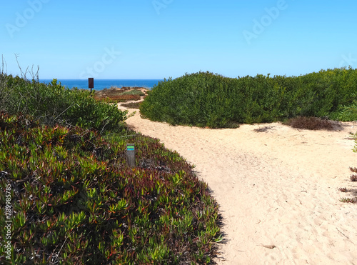 Hiking adventure fishermans trail named Rota Vicentina through the beautiful nature of Portugal photo