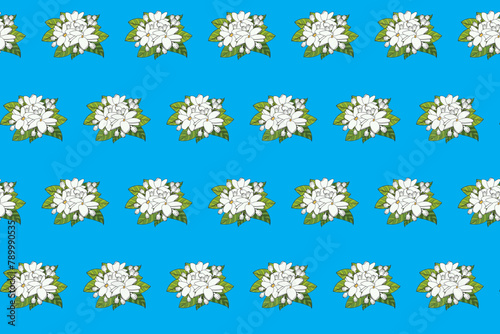 Abstract pattern of white jasmine flower with leaves on blue background.