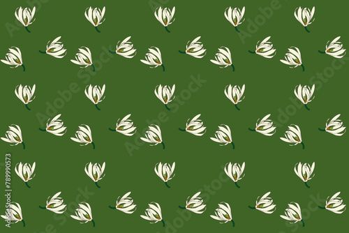 Abstract pattern of chempaka flower blooming on green background.