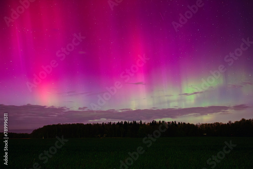 Wallpaper Mural Bright Northern lights Torontodigital.ca