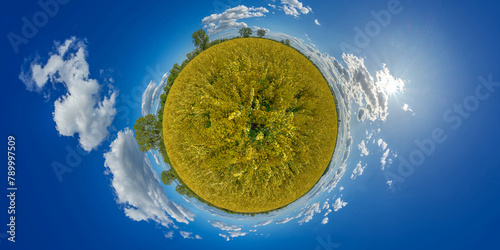 agricultural rapeseed field under a blue summer sky little planet (ID: 789997509)