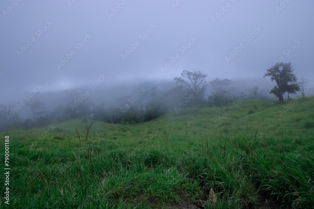 Montaňas de Mindo, Ecuador