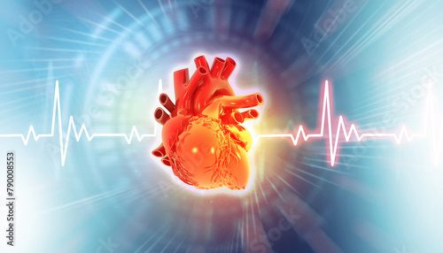 Human heart anatomy on medical background. 3d illustration.