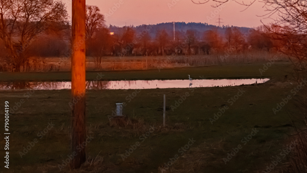 Sunset with Ardea cinerea, grey heron, at Huett, Eichendorf, Dingolfing-Landau, Bavaria, Germany