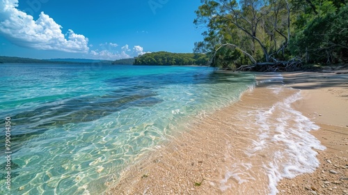 Sandy Beach With Clear Blue Water and Palm Trees