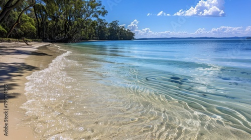 Sandy Beach With Clear Blue Water and Palm Trees