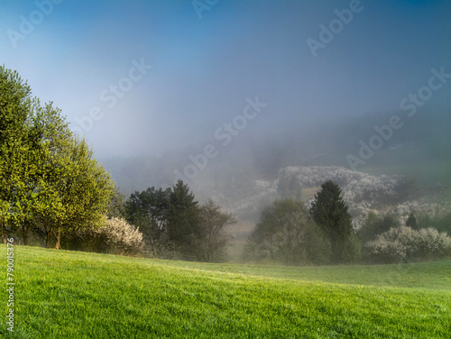 Pieniny - poranne mgły wiosna © Ola i Eryk