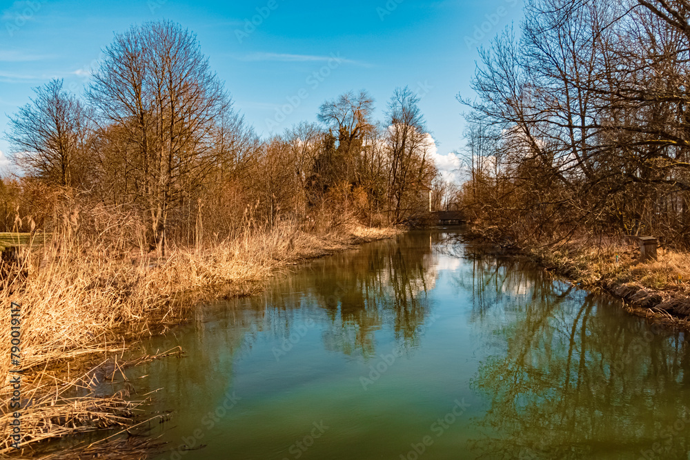 Spring view with reflections near Grieshaus, Moos, Deggendorf, Bavaria, Germany