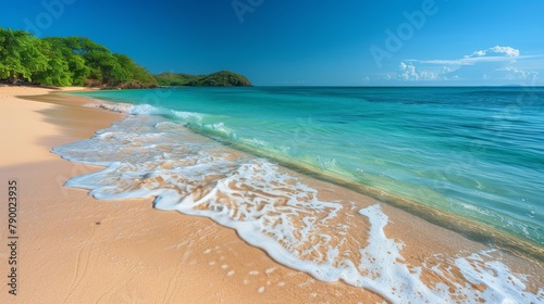 Sandy Beach With Blue Water and Green Trees
