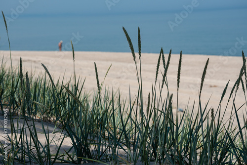 Fototapeta Naklejka Na Ścianę i Meble -  Deserted Baltic Beach in Early Spring
