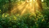 Defocused green trees in forest or park