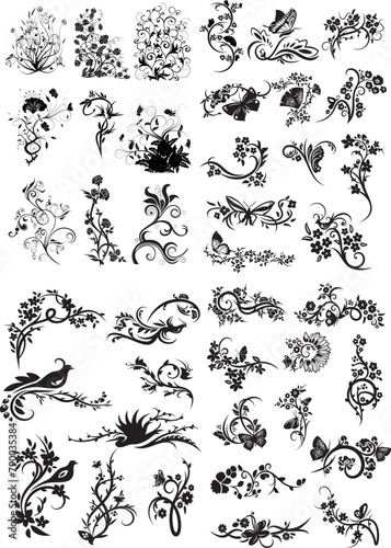 vector corners and floral pattern