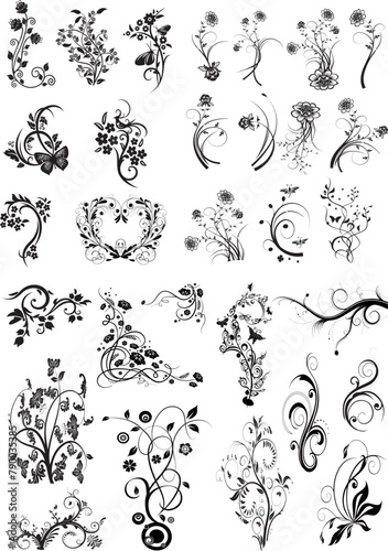 vector decorative ornament, 