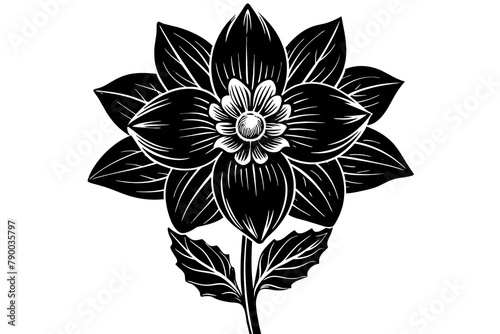 Delphinium vector silhouette 