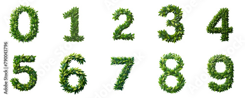 Fresh Leafy Numbers Collection  set of floral layout numbers made from fresh green leaves isolated on white background