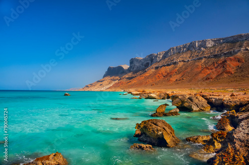coast of an island in the Indian Ocean. Emerald water  pristine beaches  wild rocky shores. Amazing landscape. Yemen. Socotra.