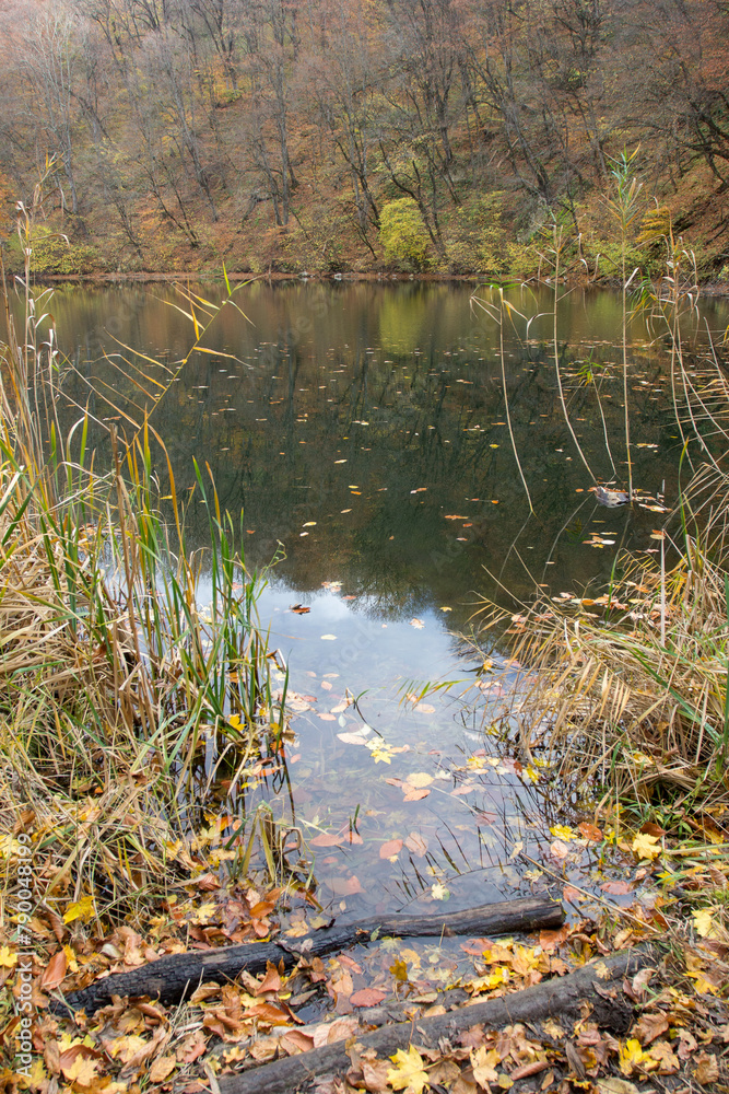 autumn day on a mountain lake of karst origin surrounded by a yellowing forest autumn day on a mountain lake of karst origin surrounded by a yellowing forest