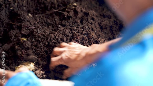 Fertilizer from vermicompost. Organic fertilizer.