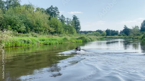 A happy dog playing with frisbee in nature.
