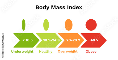 Body mass index scale. Infographics of underweight and normal weight with dangerous obesity and percentage arrows vector diagram