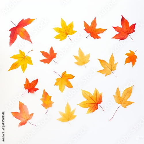 An array of fall leaves, showcasing a vibrant gradient from golden yellow to deep rust, methodically aligned on a pristine white surface, top view capture, watercolor, cartoon, animation