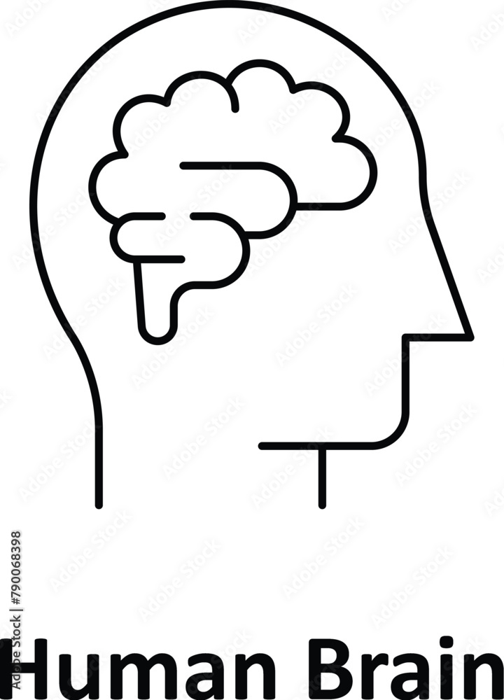 Human brain Vector icon which can easily modify or edit Human brain Vector icon which can easily modify or edit