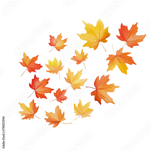 An array of fall leaves  showcasing a vibrant gradient from golden yellow to deep rust  methodically aligned on a pristine white surface  top view capture  watercolor  transparent