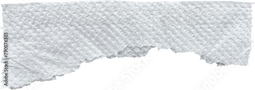 White Ripped Perforated Toilet Paper Piece photo
